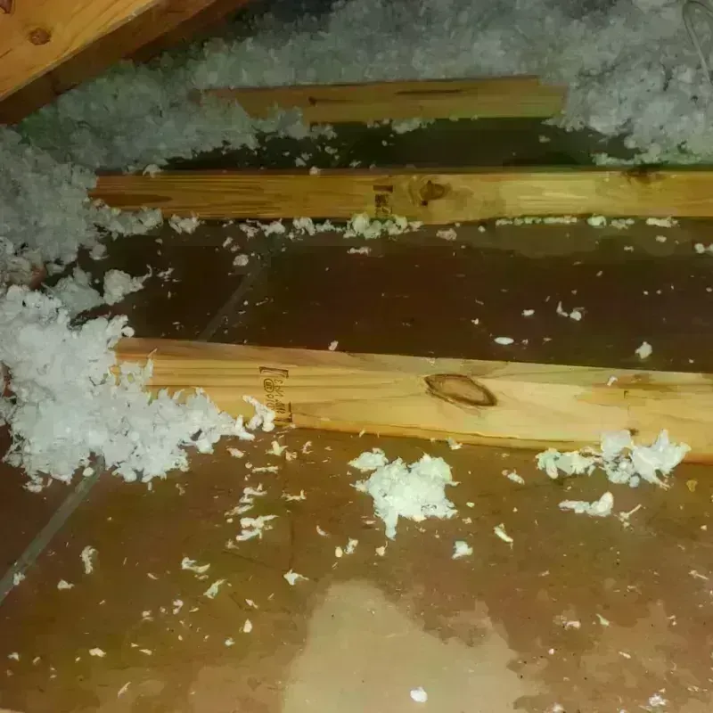 Attic Water Damage in Stover, MO